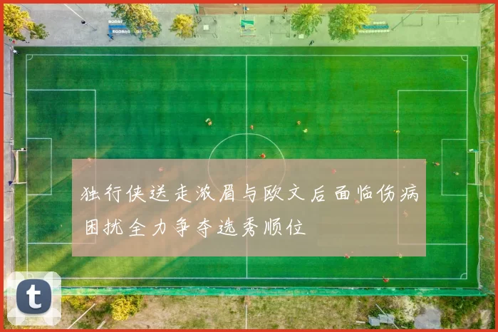 独行侠送走浓眉与欧文后面临伤病困扰全力争夺选秀顺位